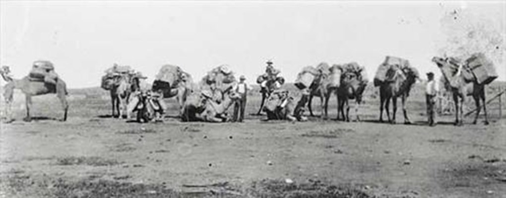 Historical - Camel Train